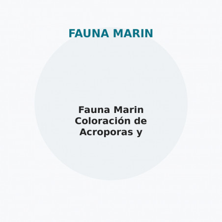 Fauna Marin Coloración de Acroporas y Pocilloporas