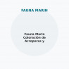Fauna Marin Coloración de Acroporas y Pocilloporas
