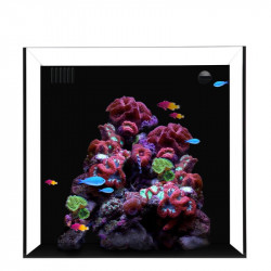 WATERBOX AIO CUBE 20  ( Sin mesa ) ( ENVIO GRATIS )