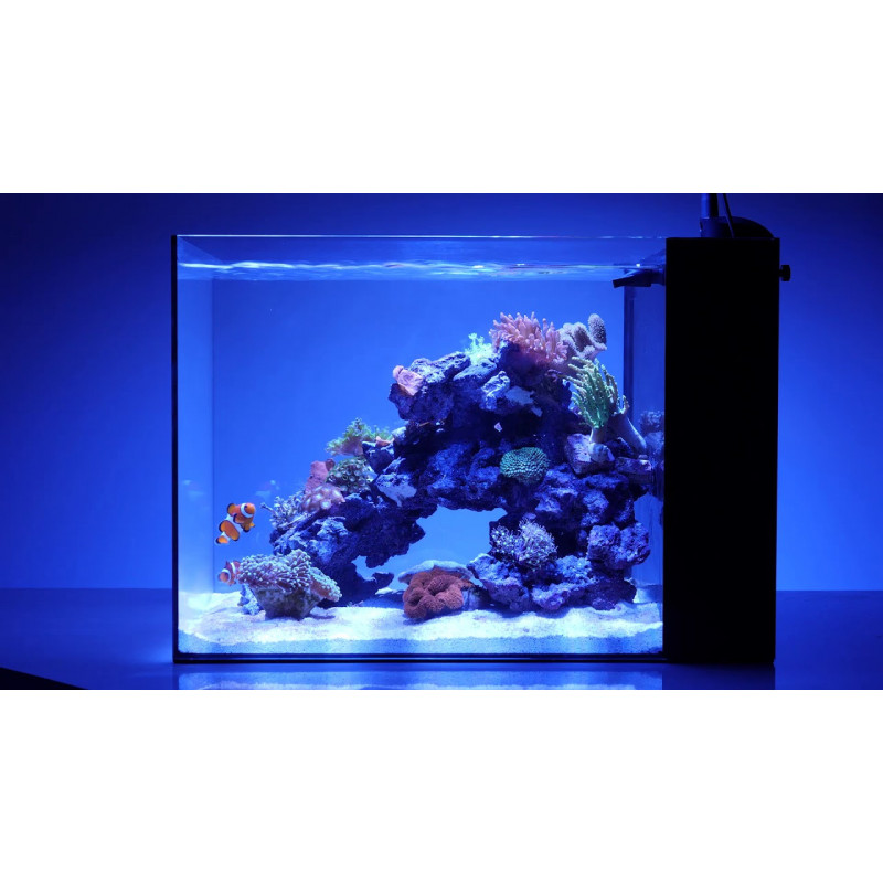 Waterbox AIO PENINSULA 25 ( ENVIO GRATIS )