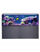 Acuarios Marinos Premium | Waterbox, Red Sea, Nyos, Fluval y Más