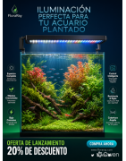 Pantallas LED Acuarios Plantados | Iluminación RGB y Aquascaping