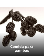 Comida para gambas