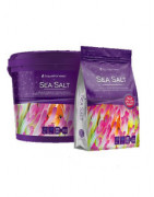 Sal