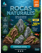 Rocas para Acuarios: Piedra Dragón, Lava y Seiryu Premium