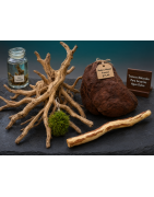 Troncos para Acuarios: Madera Natural Manglar y Cholla
