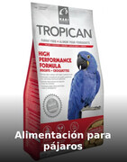 Alimentación para pájaros