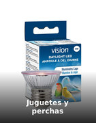 Juguetes y perchas