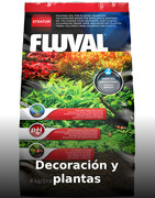 Decoración y plantas | Acuarios.com