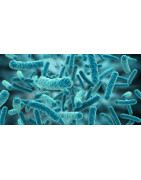 Bacterias para Acuarios Marinos | Nitrificantes y Probióticos